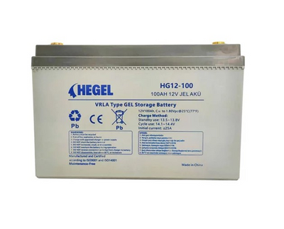 Акумуляторна батарея HEGEL HG12-100 Ah 49204710 фото